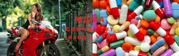 прущие грибы Белокуриха