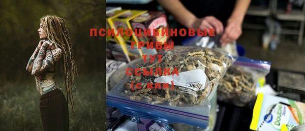 прущие грибы Белокуриха